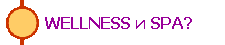 WELLNESS  SPA?